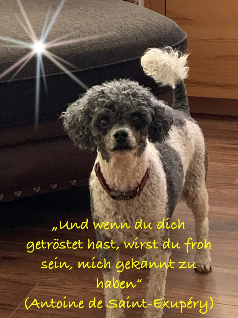 Andachtsbild von Christine mit Louie im Herzen