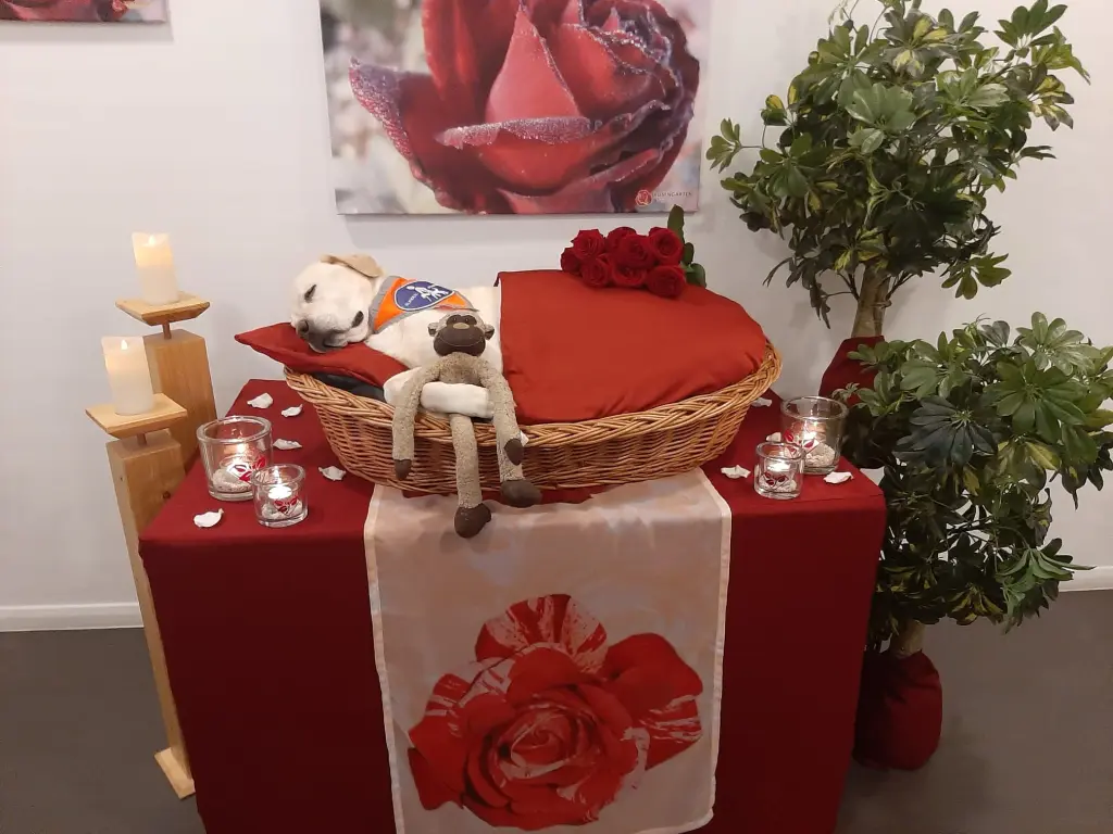 Andachtsbild von Sarah-Tatjana Werner