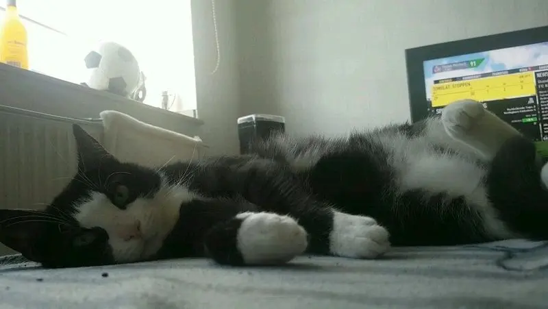 Image from Minki (Prinzessin)