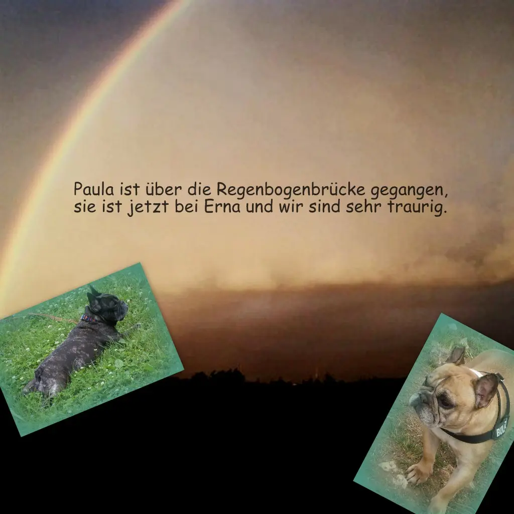 Image from Paula