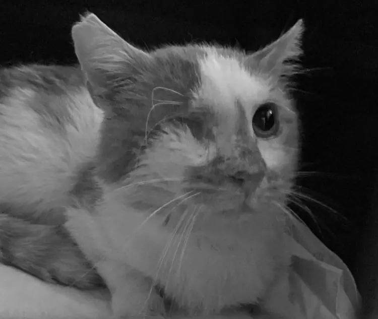 Andachtsbild von Christiane