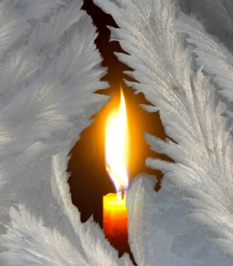 Andachtsbild von Martina mit Seelenhund Samy ♥️