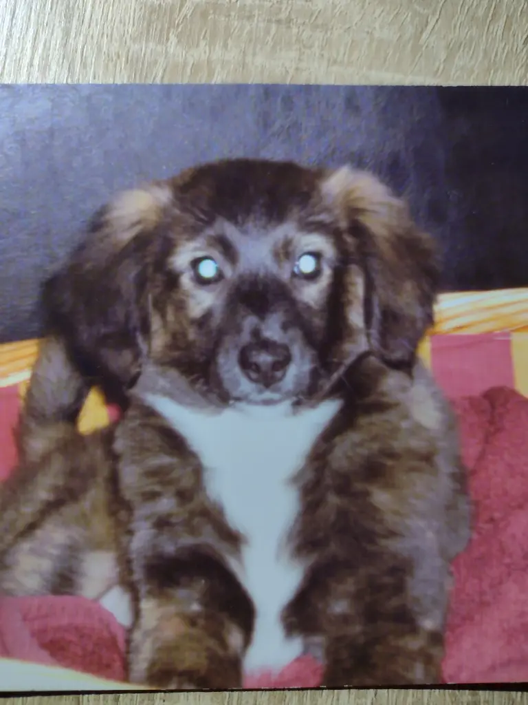 Andachtsbild von Beate mit Ella im ❤️