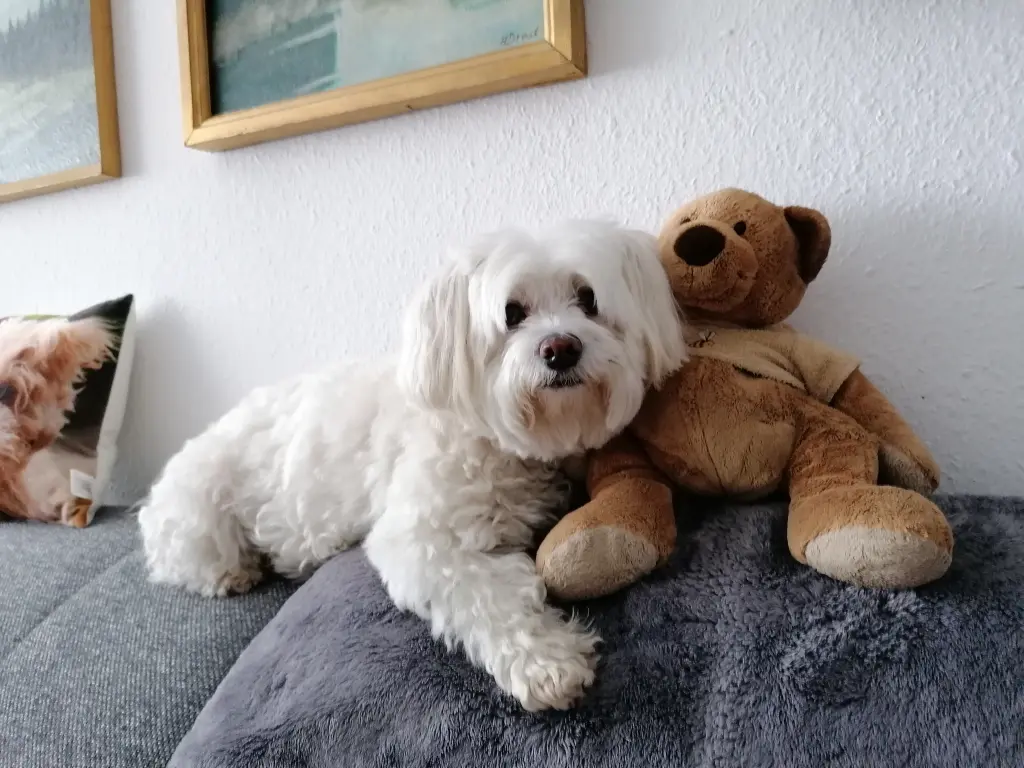 Bild von Maggie