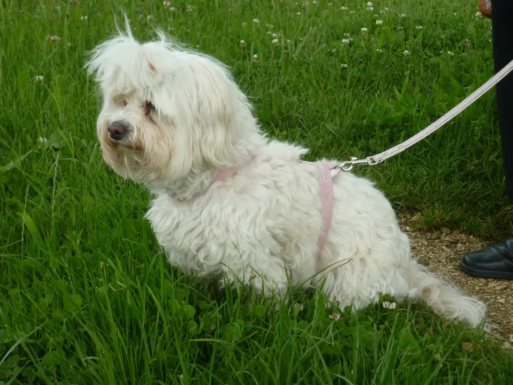 Bild von Maggie