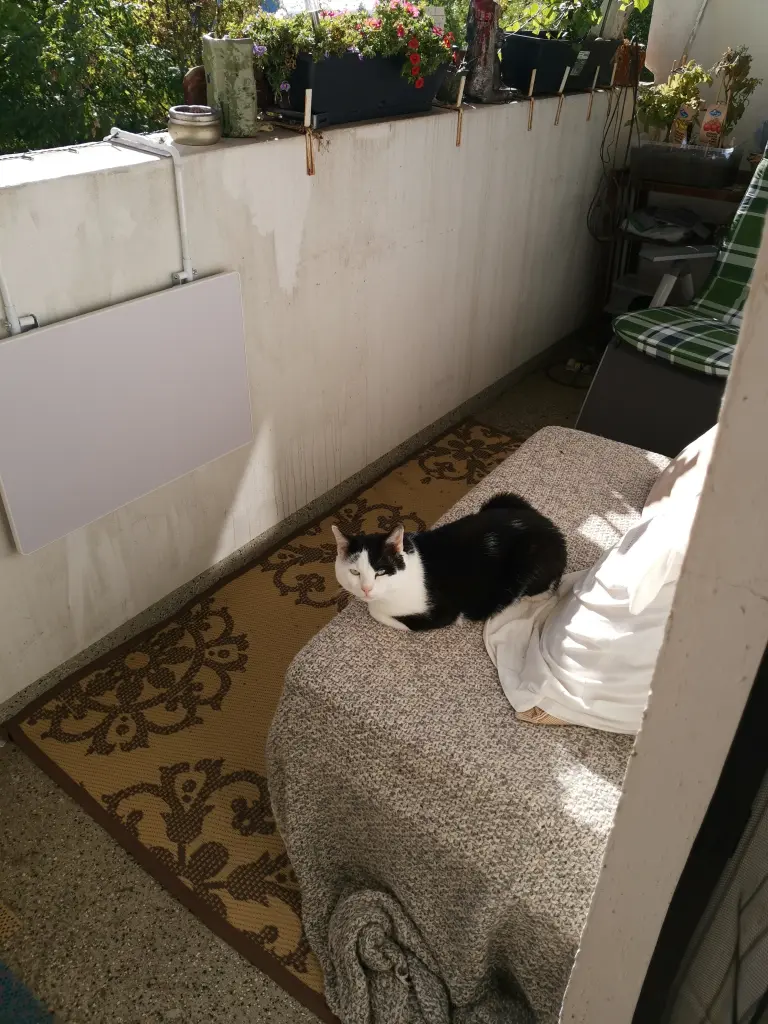 Andachtsbild von Mama und deine kleine Schwester