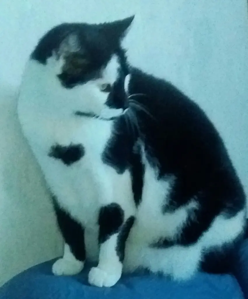 Andachtsbild von Annemarie und Elke mit Snoopy im Herzen gest.04.01.2022