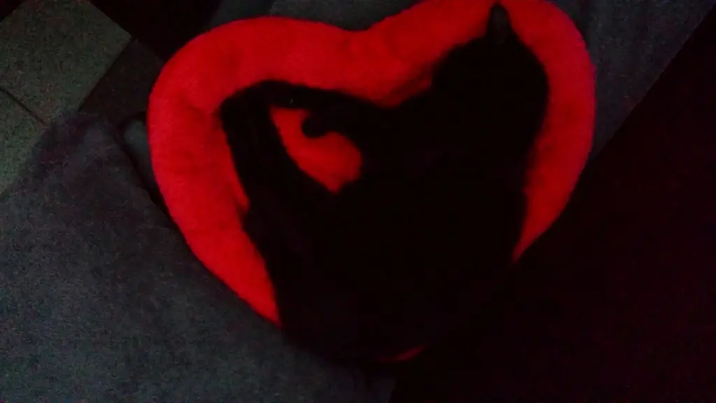 Condolence image of Lydia & Manfred