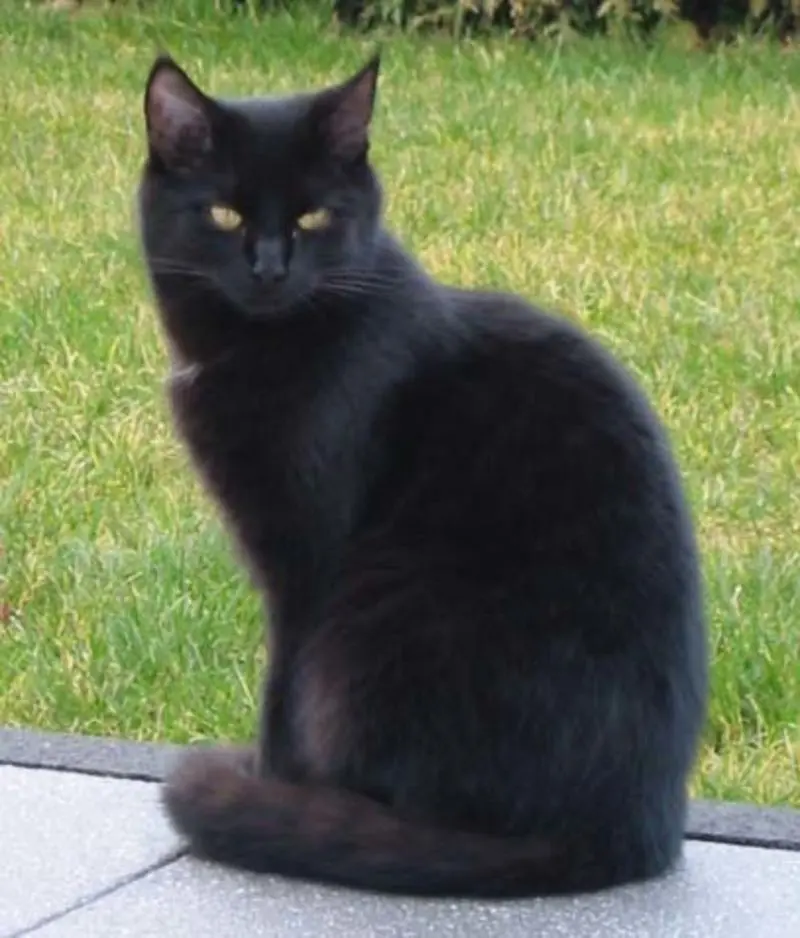 Condolence image of Lydia