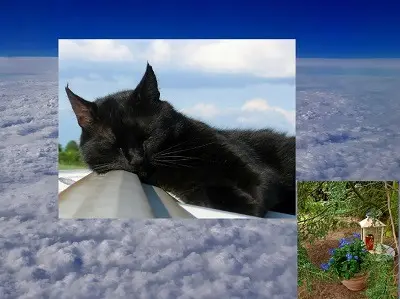 Condolence image of Lydia & Msnfred