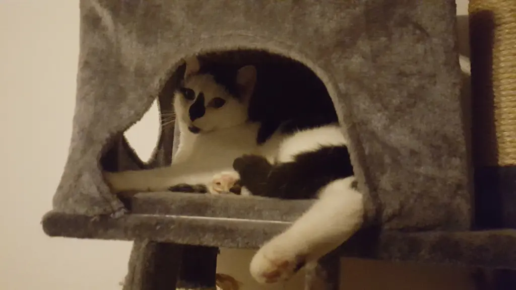 Image from Spooky