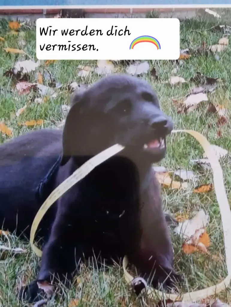 Andachtsbild von Livia