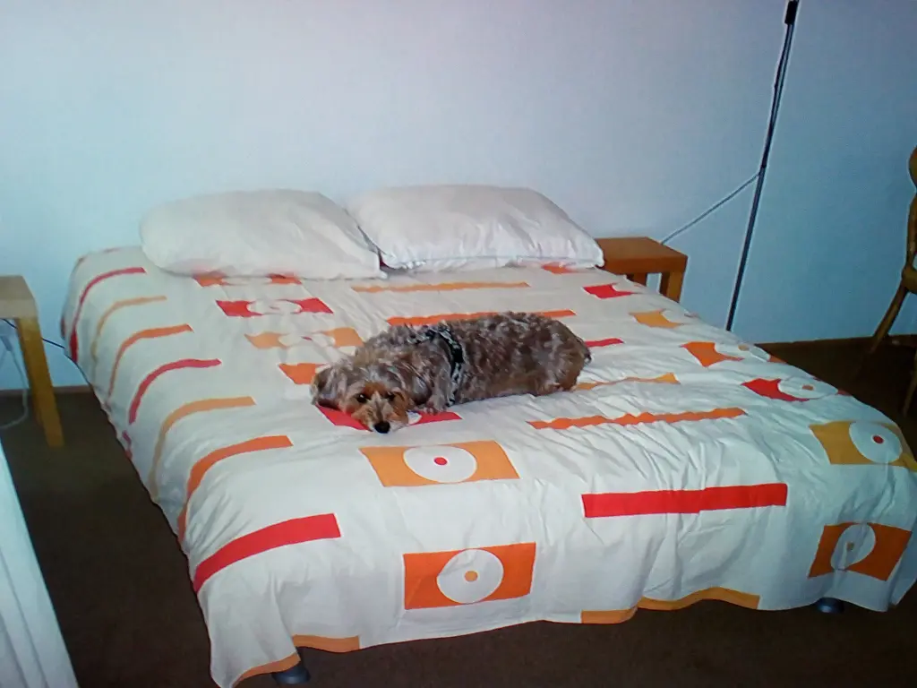 Condolence image of Ulrike