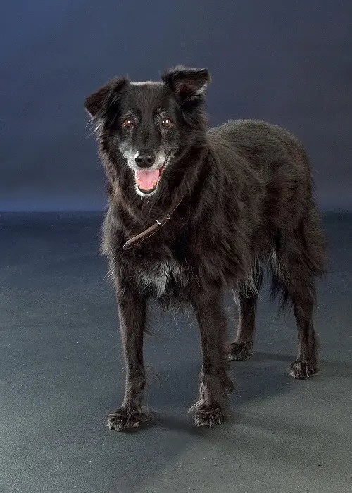 Condolence image of Rainer
