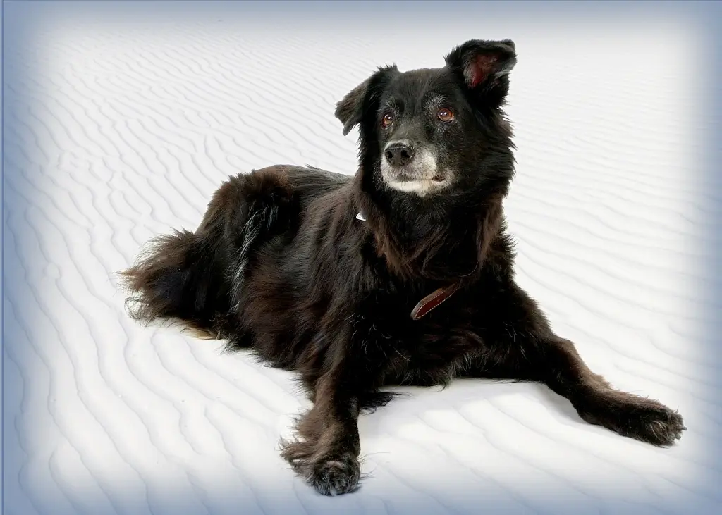Condolence image of Rainer