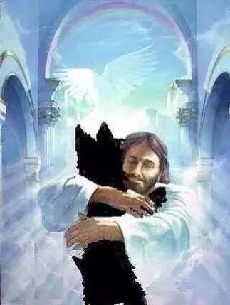 Condolence image of Rainer
