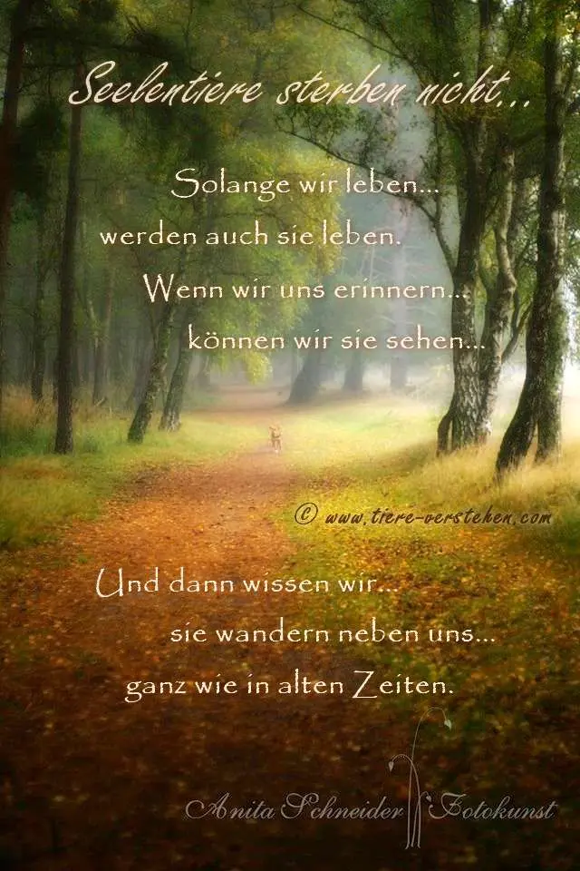 Condolence image of Unbekannt
