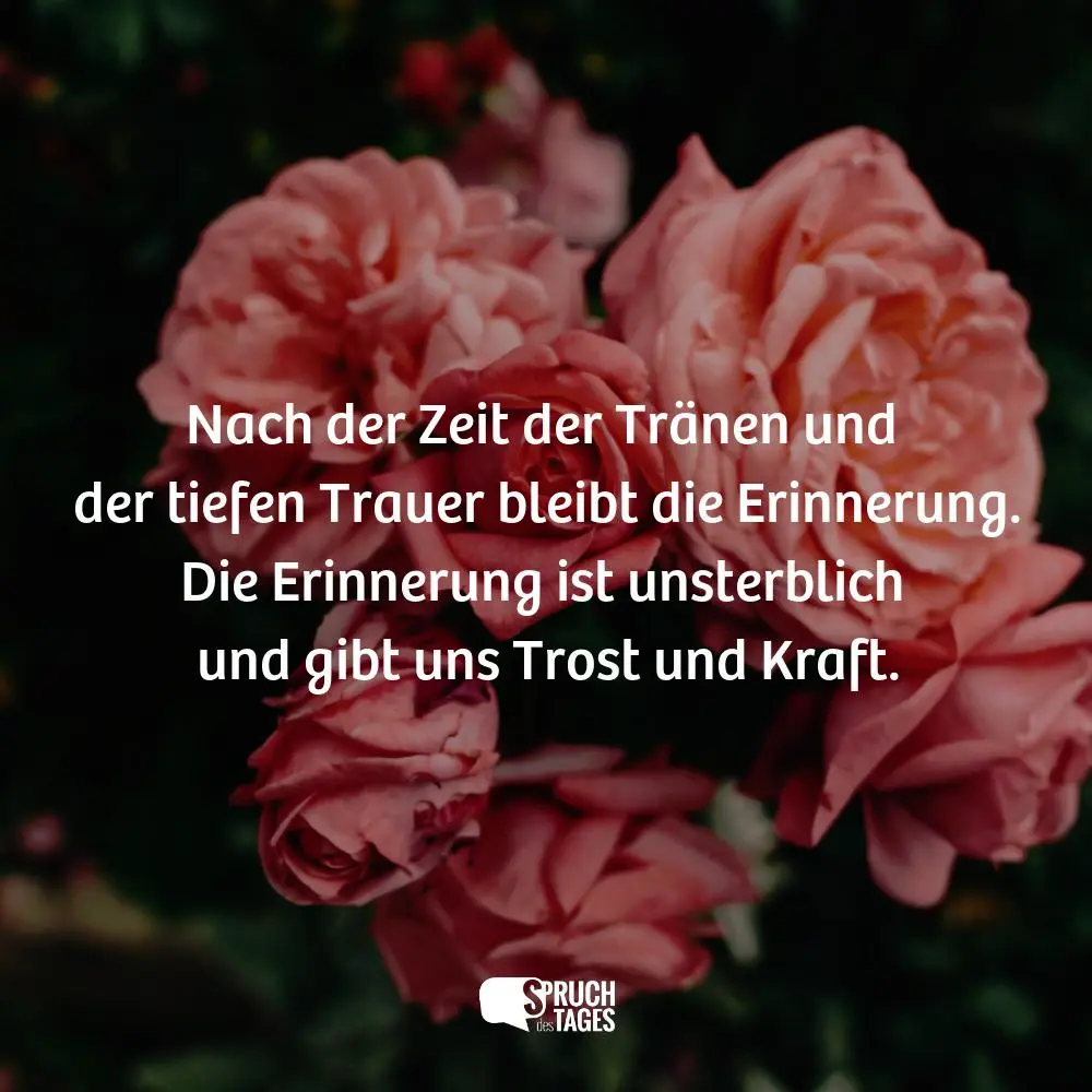 Condolence image of Rainer