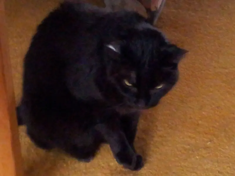 Condolence image of Antje
