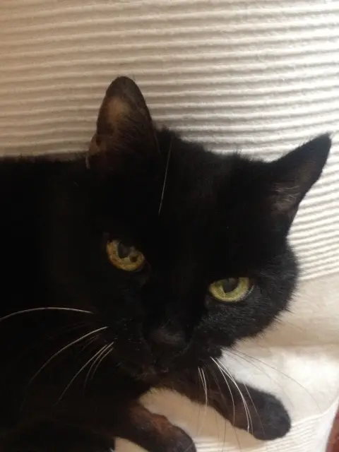 Image from Nelly