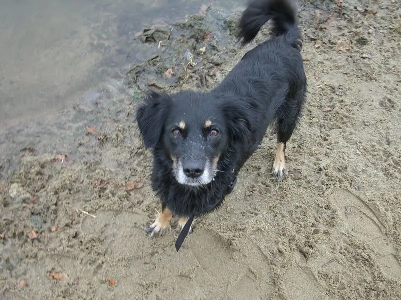 Condolence image of Sonja