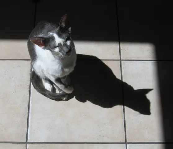Condolence image of Tania mit Holy