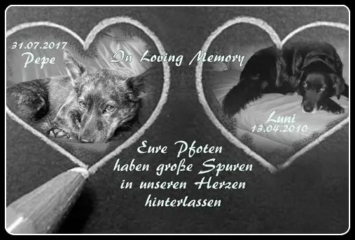Condolence image of Mel mit Pepe & Luni im Herzen