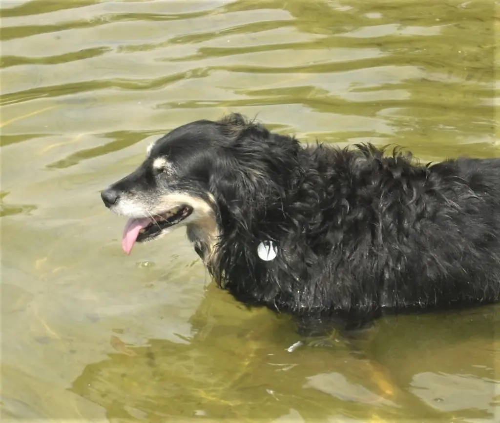 Condolence image of Julia