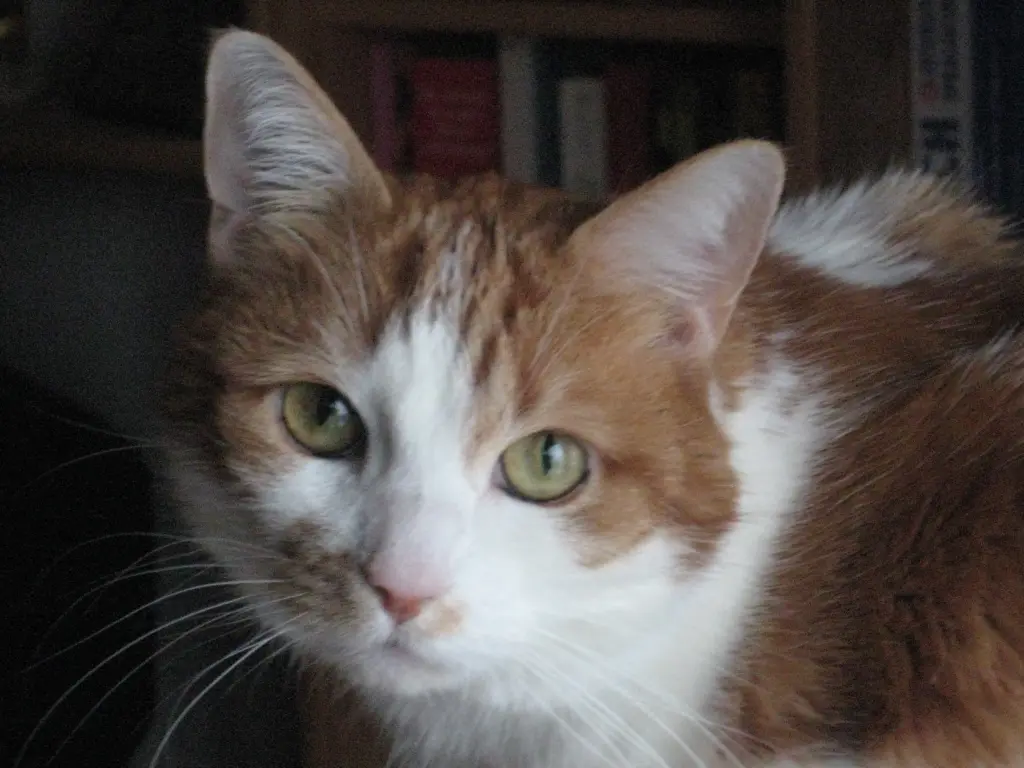 Image from Tamy