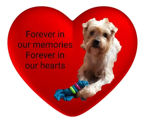 Andachtsbild von Krzysztof und Ewa mit Jacki tief im Herzen ❤