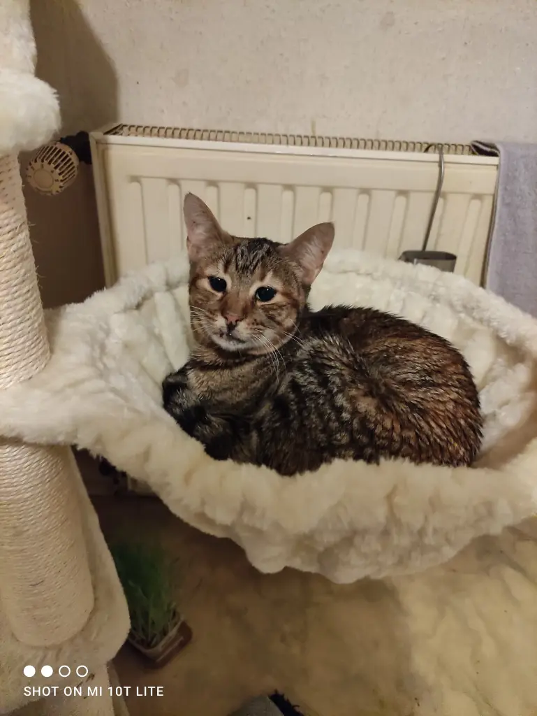 Andachtsbild von Sabine mit Ratita im Herzen