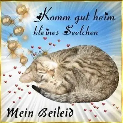 Andachtsbild von Janine