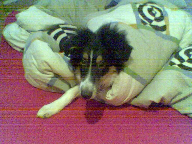 Image from Balou