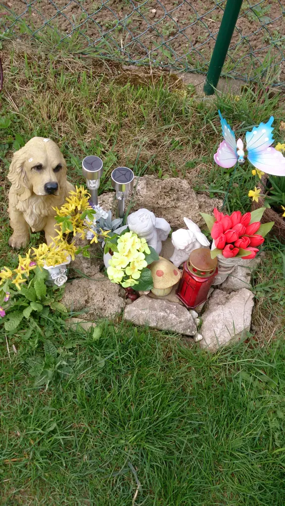 Condolence image of Sigrid 