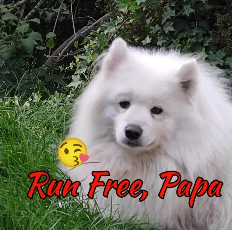 Andachtsbild von Silke und Torsten mit Senja