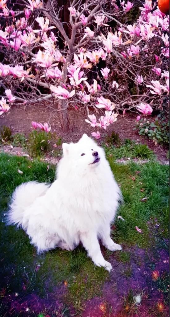 Andachtsbild von Uta