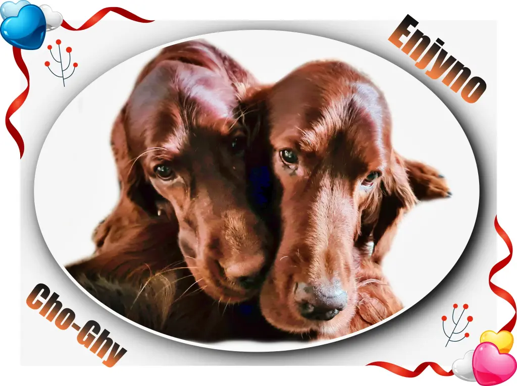 Andachtsbild von Rita