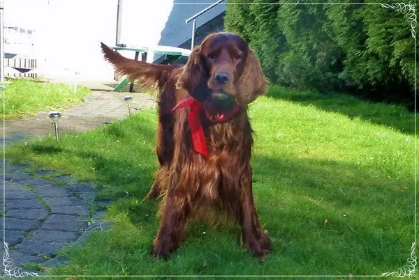 Andachtsbild von Rita