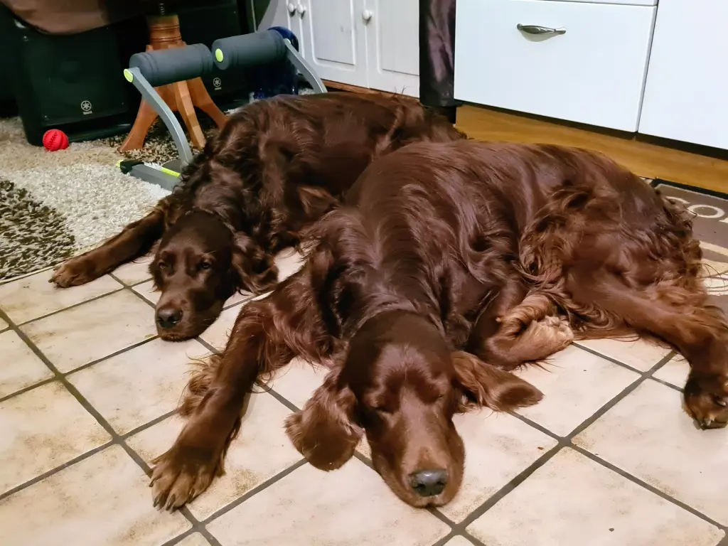 Andachtsbild von Rita