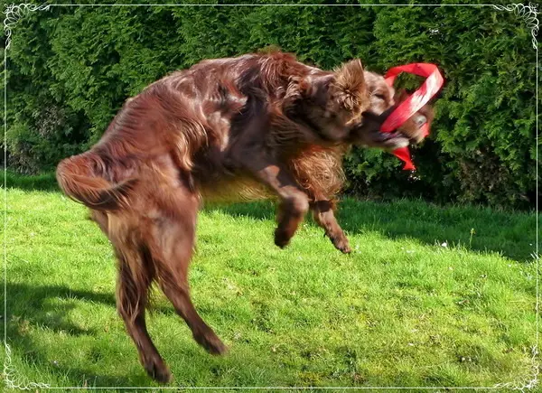 Andachtsbild von Rita