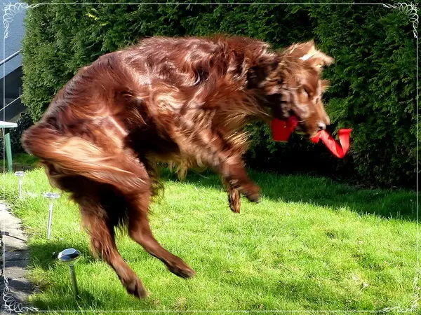 Andachtsbild von Rita