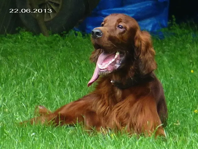 Andachtsbild von Rita