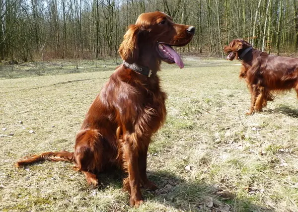 Andachtsbild von Rita