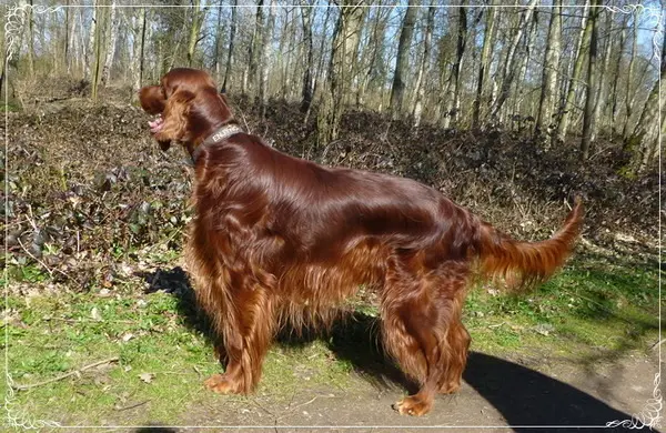 Andachtsbild von Rita