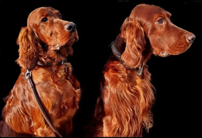 Andachtsbild von Rita