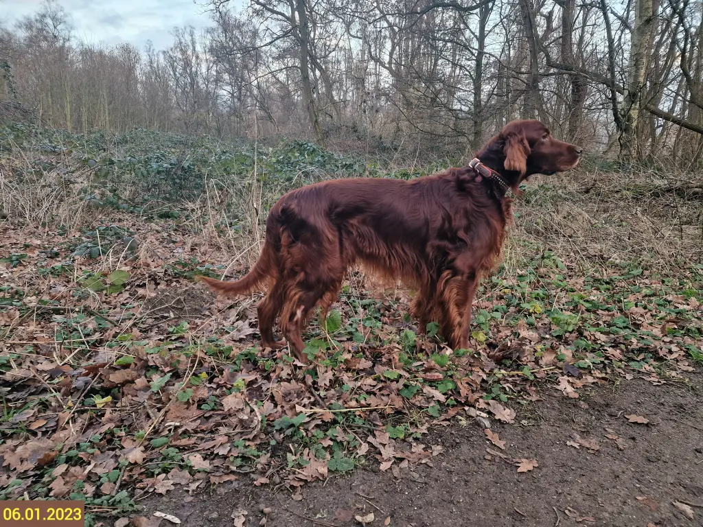 Andachtsbild von Rita