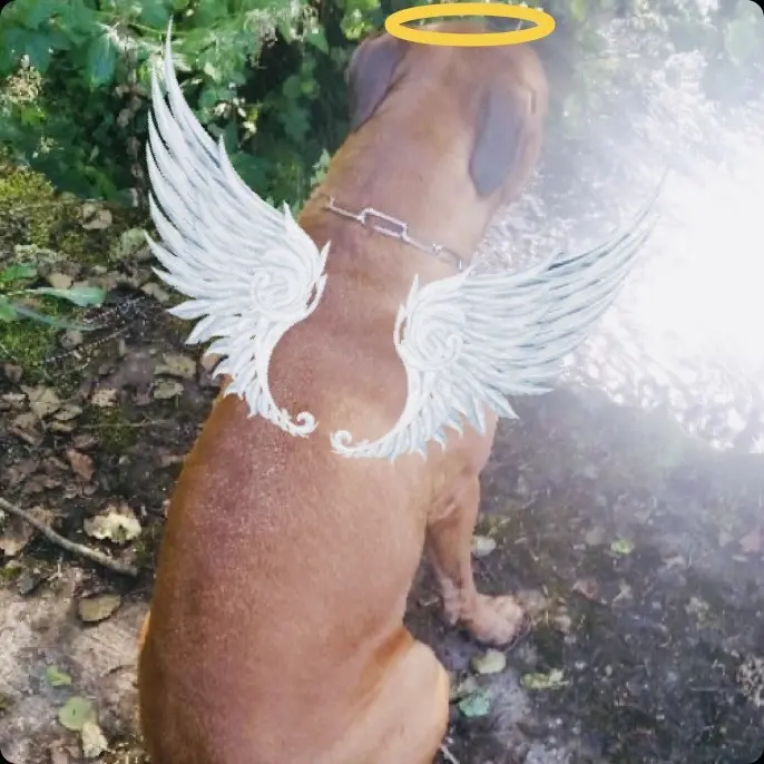 Andachtsbild von Aljoscha Baumeister