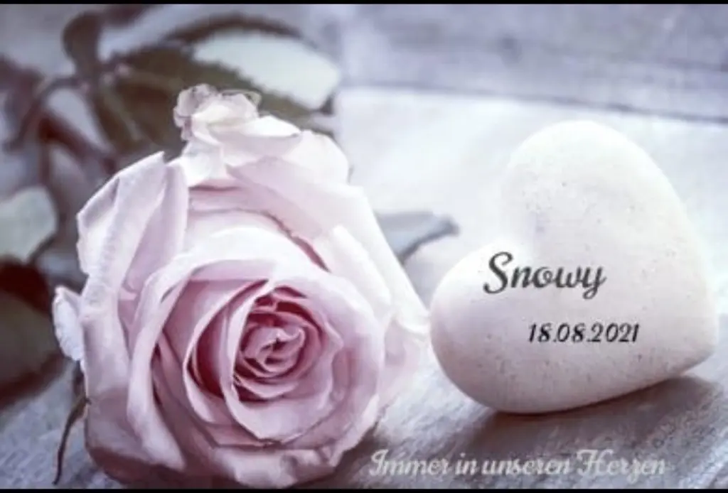 Andachtsbild von Gaby mit Snowy im Herzen