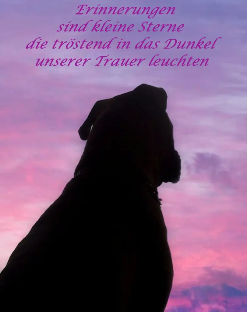 Andachtsbild von Monika Platte