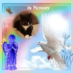 Condolence image of Fur Liebste❤❤❤❤❤❤Moppilein❤